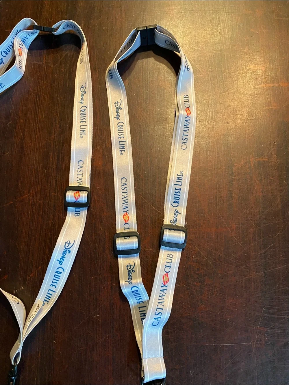 Set Of 2 DCL Disney Cruise Line Castaway Club Silver Lanyards DCL Exclusive